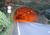 tunnel-43kawazoe-1.jpg